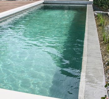 naturpool
